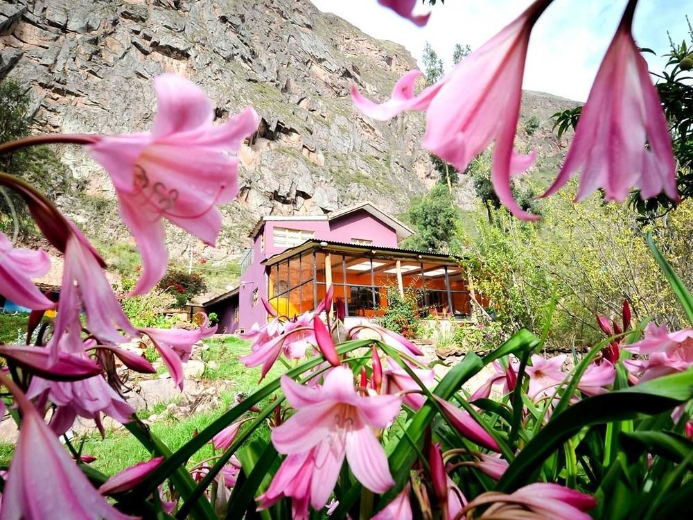 Casa De La Chola Hotel Ollantaytambo Eksteriør billede